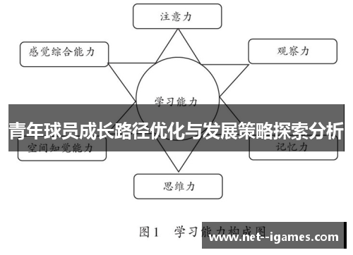 青年球员成长路径优化与发展策略探索分析