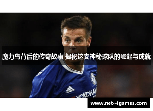 魔力鸟背后的传奇故事 揭秘这支神秘球队的崛起与成就 魔力鸟背后的传奇故事 揭秘这支神秘球队的崛起与成就